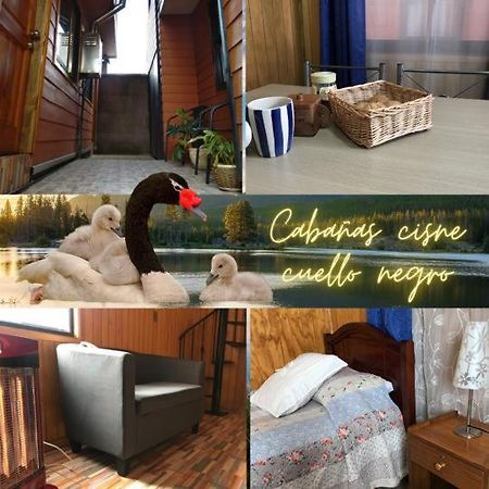 Cabanas Cisne Cuello Negro Apartment Valdivia Exterior photo