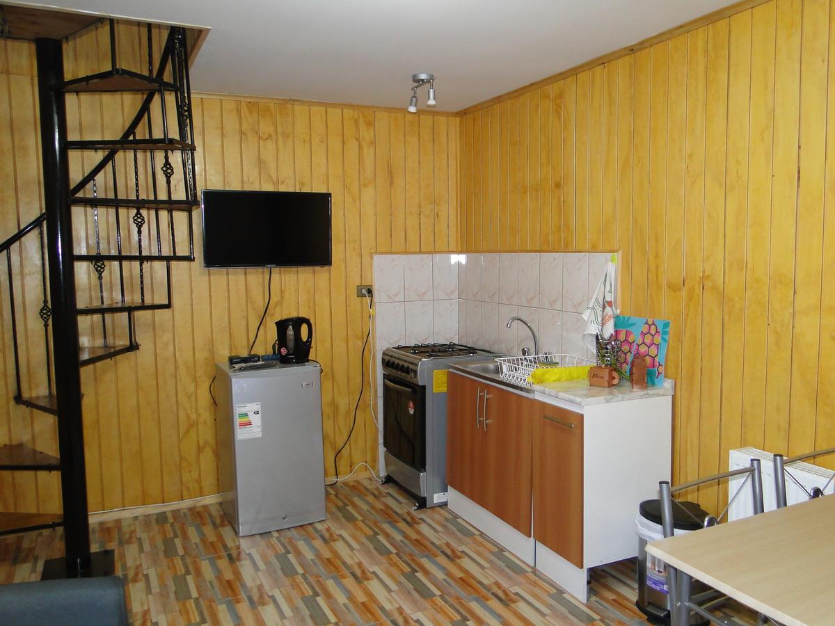 Cabanas Cisne Cuello Negro Apartment Valdivia Exterior photo